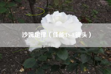 沙姆定律（佳能TS-E镜头）