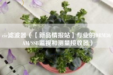 cic滤波器（【新品情报站】专业的DRM30/AM/SSB监视和测量接收器）