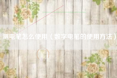 测电笔怎么使用（数字电笔的使用方法）