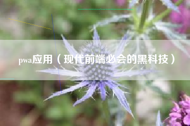 pwa应用（现代前端必会的黑科技）