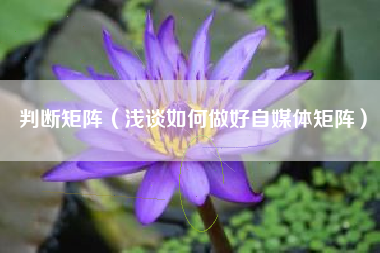 判断矩阵（浅谈如何做好自媒体矩阵）