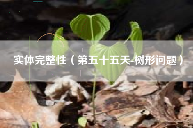 实体完整性（第五十五天-树形问题）