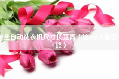 全自动洗衣机尺寸长宽高（这4点不能忽略）