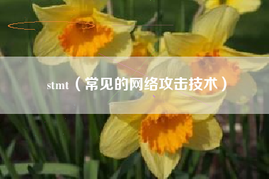 stmt（常见的网络攻击技术）