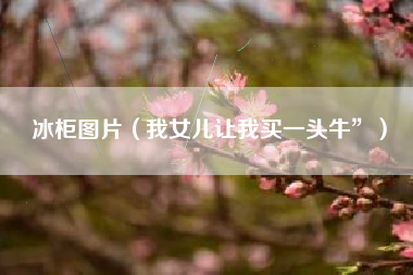 冰柜图片（我女儿让我买一头牛”）