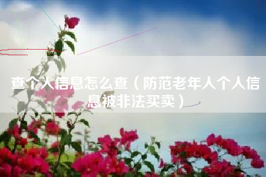 查个人信息怎么查(防范老年人个人信息被非法买卖)