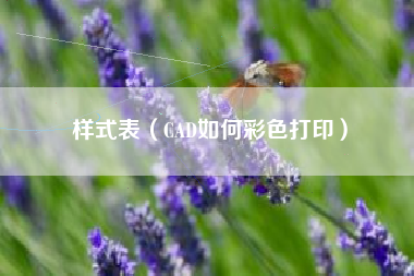 样式表（CAD如何彩色打印）