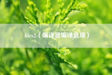 fdex2（编译器编译选项）