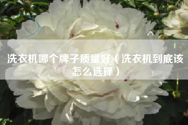 洗衣机哪个牌子质量好（洗衣机到底该怎么选择）