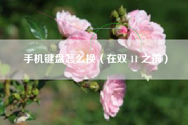 手机键盘怎么换（在双 11 之前）