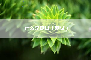 什么是测试（测试）