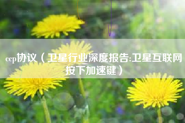 ccp协议（卫星行业深度报告:卫星互联网按下加速键）