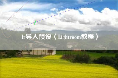 lr导入预设（Lightroom教程）