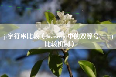 js字符串比较（Javascript中的双等号(==)比较机制）