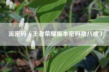 流密码(王者荣耀版本密码猪八戒)