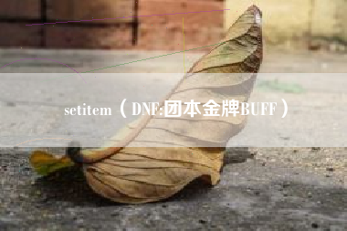 setitem（DNF:团本金牌BUFF）