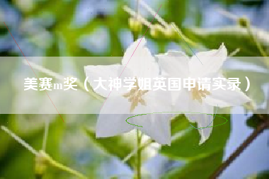 美赛m奖（大神学姐英国申请实录）