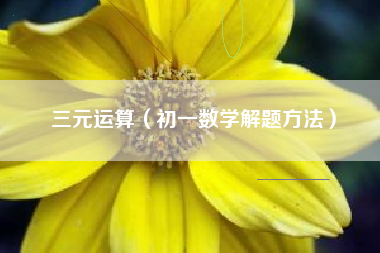 三元运算（初一数学解题方法）