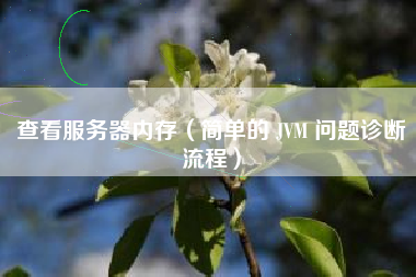 查看服务器内存（简单的 JVM 问题诊断流程）