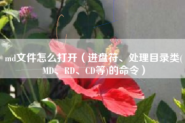 md文件怎么打开（进盘符、处理目录类(MD、RD、CD等)的命令）