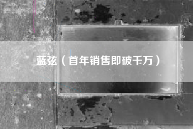 蓝弦（首年销售即破千万）