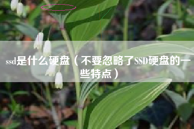 ssd是什么硬盘（不要忽略了SSD硬盘的一些特点）