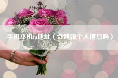 手机本机ip地址（会泄露个人信息吗）
