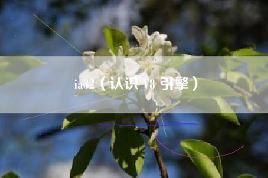 ia32（认识 V8 引擎）