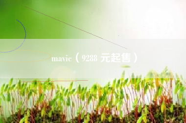 mavic（9288 元起售）