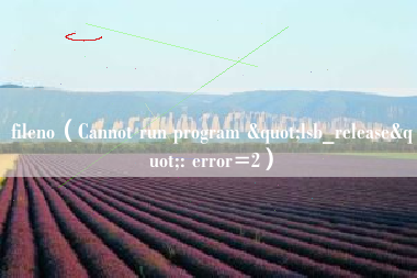 详细阅读:fileno(Cannot run program "lsb_release": error=2) fileno(Cannot run program "lsb_release": error=2)