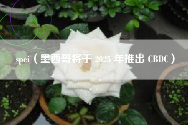 spei(墨西哥将于 2025 年推出 CBDC)