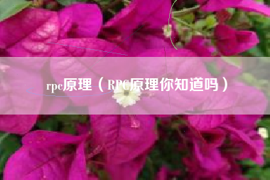 rpc原理（RPC原理你知道吗）
