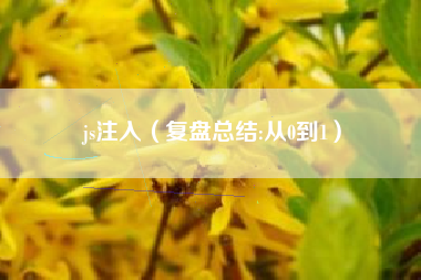 js注入（复盘总结:从0到1）