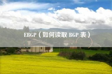 EBGP（如何读取 BGP 表）