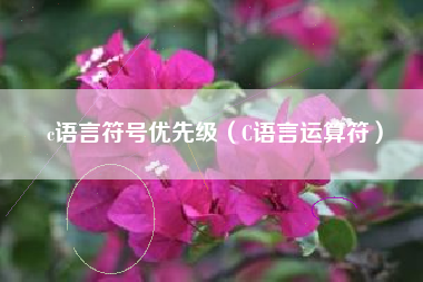 c语言符号优先级（C语言运算符）