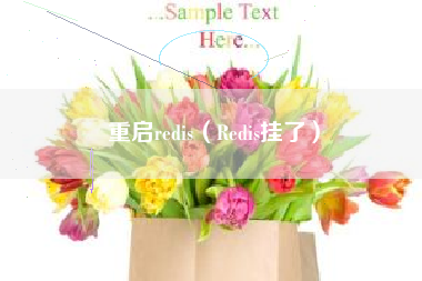 重启redis（Redis挂了）