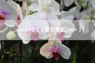 mate20尺寸（综合续航1200+）