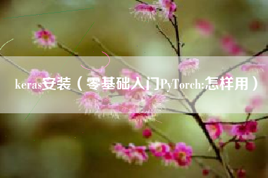 keras安装（零基础入门PyTorch:怎样用）