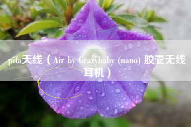 pifa天线（Air by Crazybaby (nano) 胶囊无线耳机）