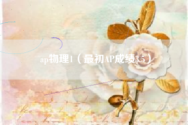 ap物理1（最初AP成绩3.5）