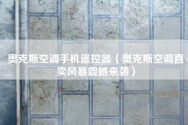 奥克斯空调手机遥控器（奥克斯空调直卖风暴震撼来袭）