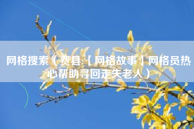 网格搜索（费县:【网格故事】网格员热心帮助寻回走失老人）