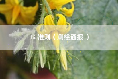 bic准则（测绘通报 ）