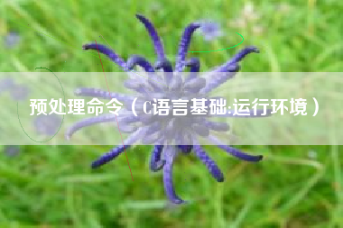 预处理命令（C语言基础:运行环境）