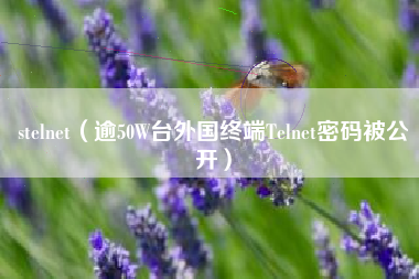 stelnet（逾50W台外国终端Telnet密码被公开）
