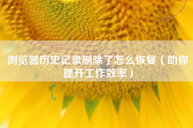 浏览器历史记录删除了怎么恢复（助你提升工作效率）
