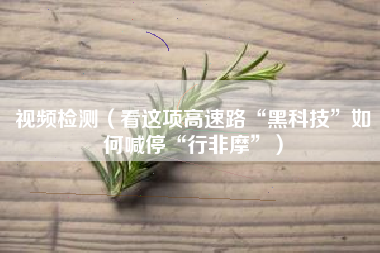 视频检测（看这项高速路“黑科技”如何喊停“行非摩”）