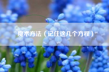 魔术方法（记住这几个方程）