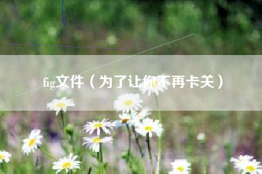 fig文件（为了让你不再卡关）