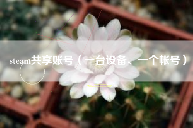 steam共享账号（一台设备、一个帐号）